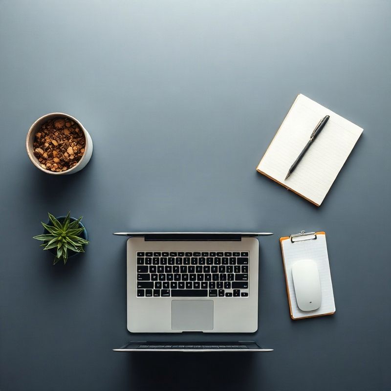 Top-down view of a slate-toned desk with a laptop, notepad and succulent